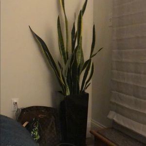 Meet your Posher, Timothy